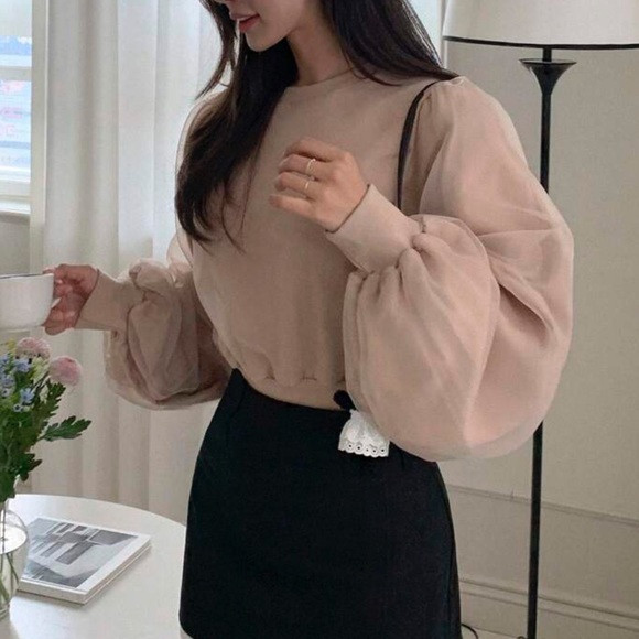 Light beige Mesh Panel Lantern puff Sleeve sweater Shirt blouse - Picture 6 of 7